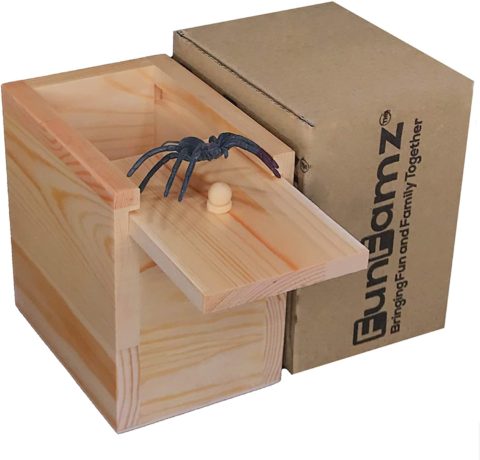 Spider Prank Box Spider popping out of a box