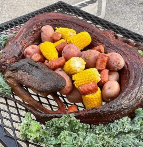 Whole Skinned Alligator
